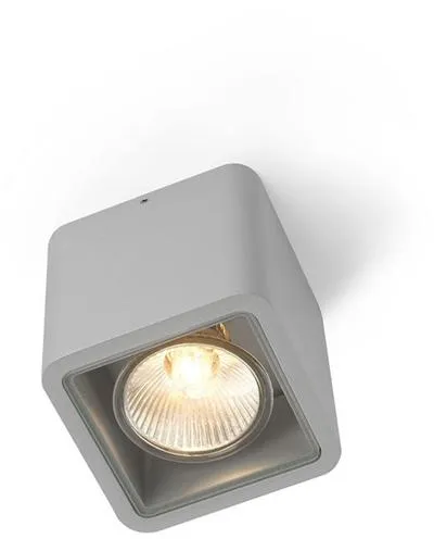 Trizo 21 Code 1 Outdoor Lamp Anodised